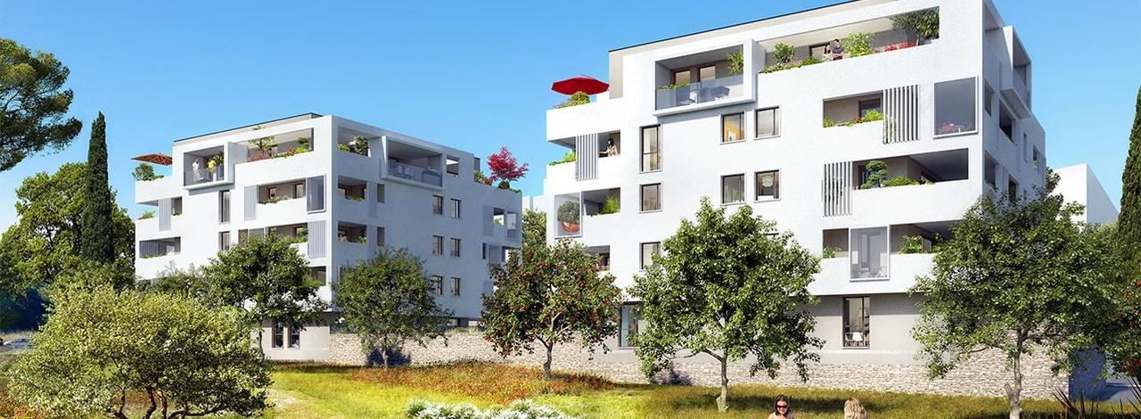 Montpellier immo